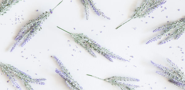 How we came across CBD