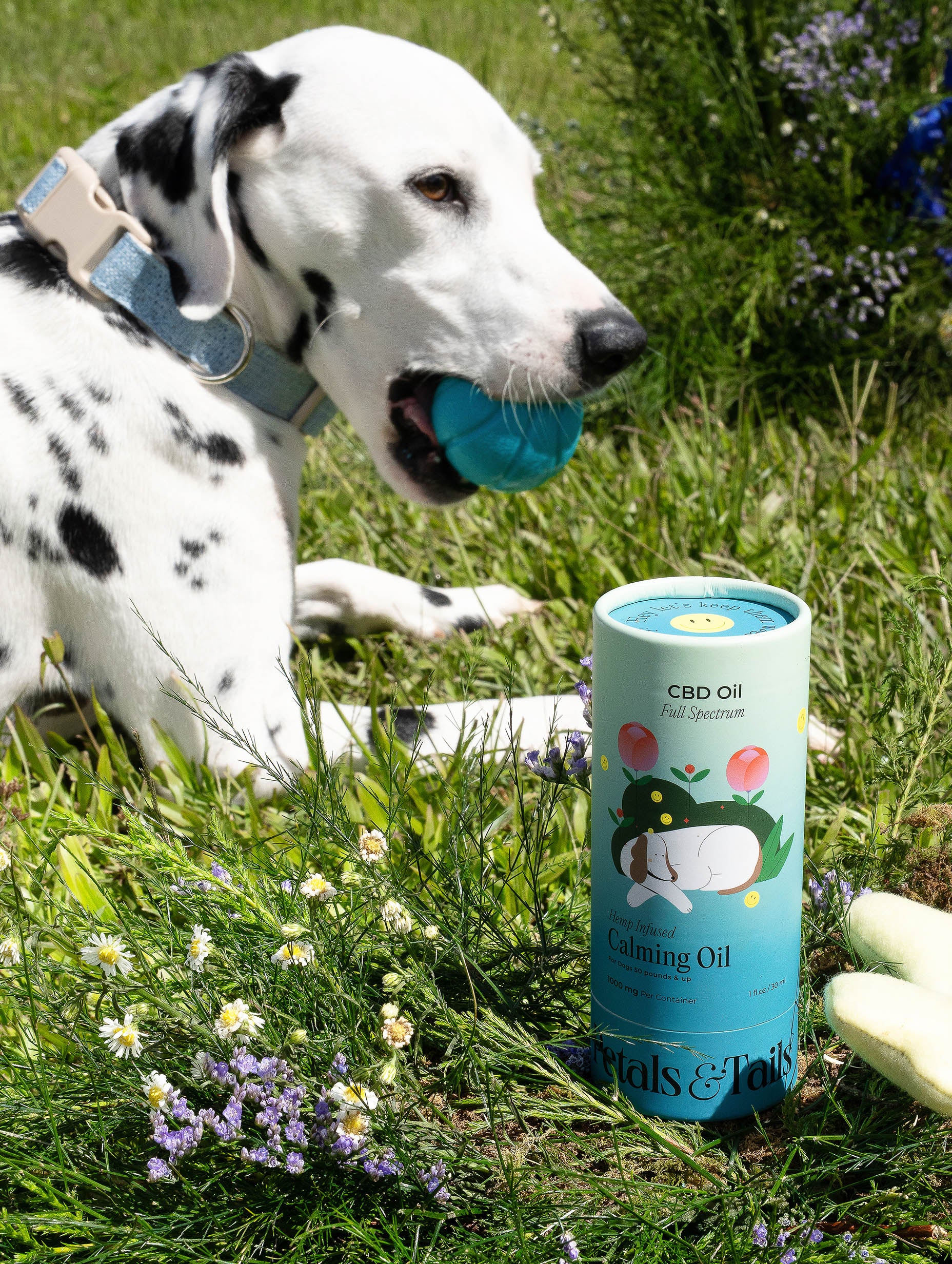 1000mg Calming CBD Oil - For Dogs 50lbs – Petals and Tails
