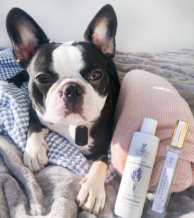 Lavender Fields Forever Hydrating After Bath Misting Spray