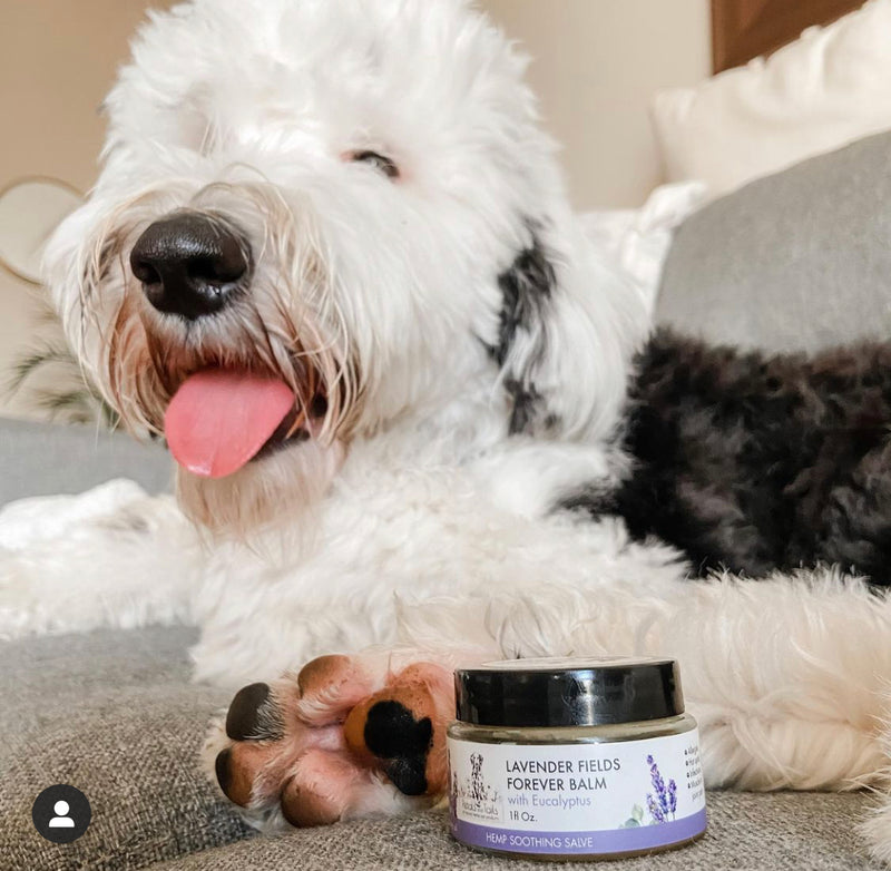 Lavender Fields Forever  Hemp Balm with Eucalyptus - 150mg