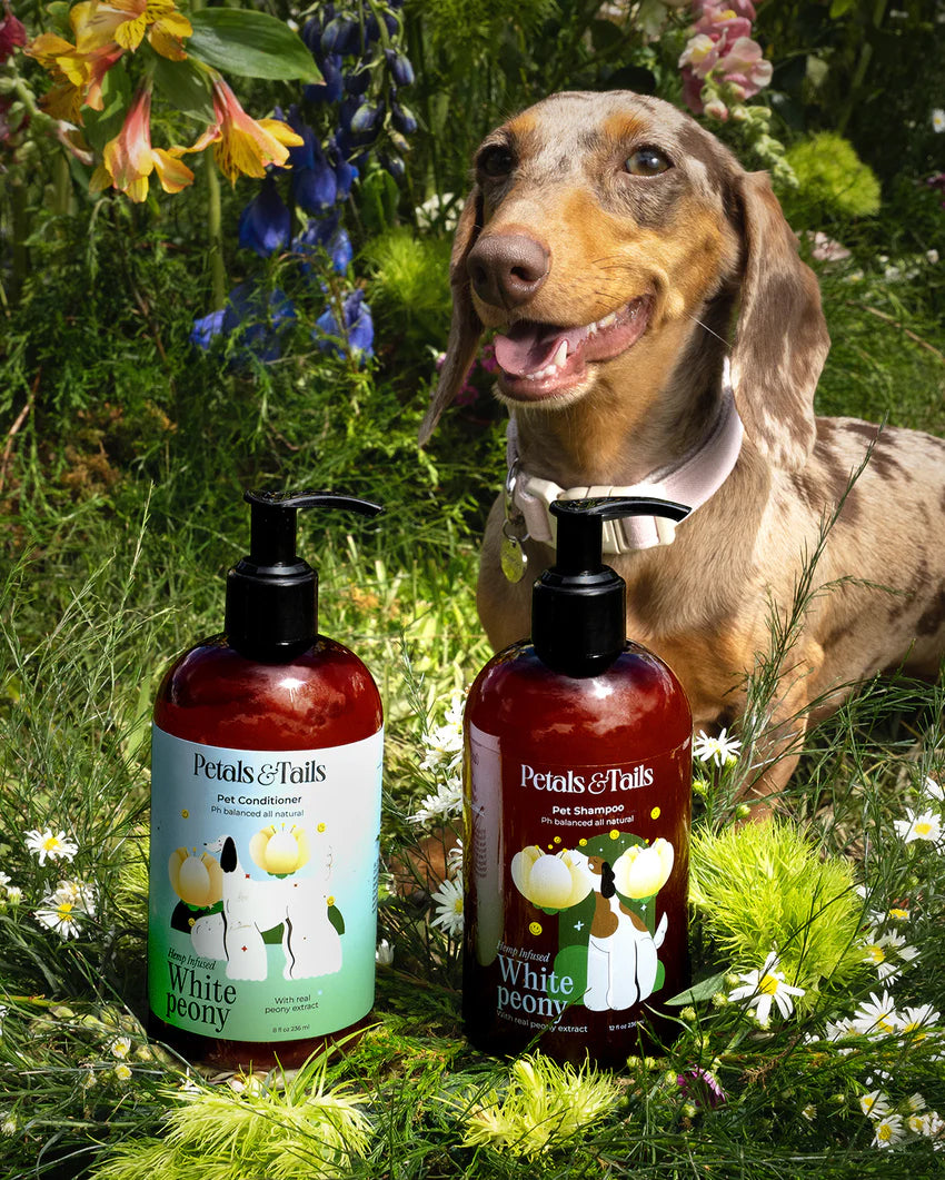 White Peony Hemp Dog Conditioner - Now 50% Bigger!