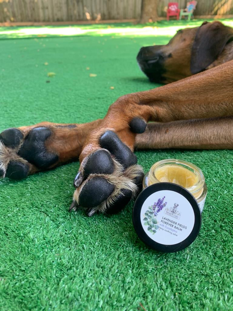Lavender Fields Forever  Hemp Balm with Eucalyptus - 150mg