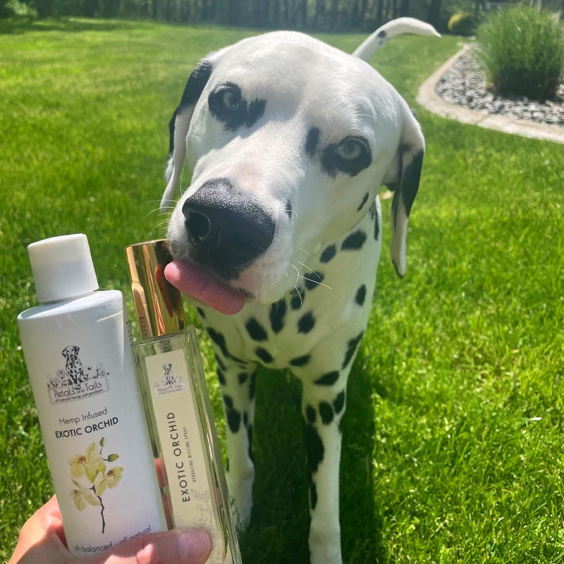Exotic Orchid CBD Pet Shampoo