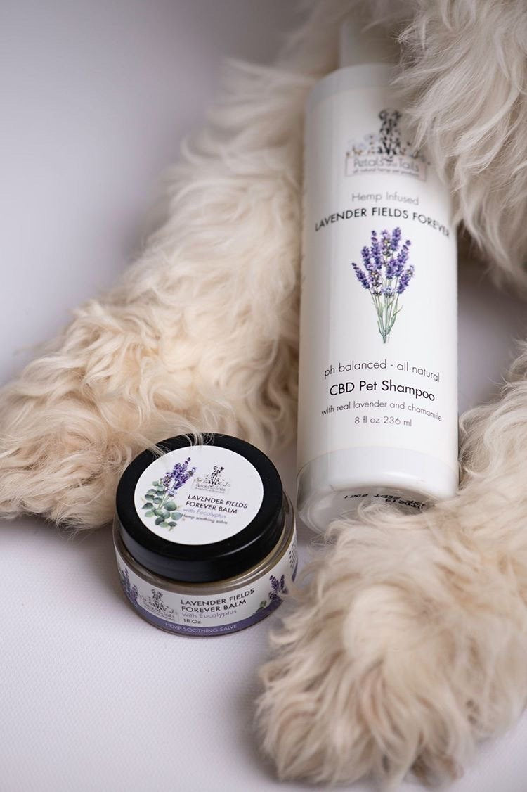 Lavender Fields Forever  Hemp Balm with Eucalyptus - 150mg
