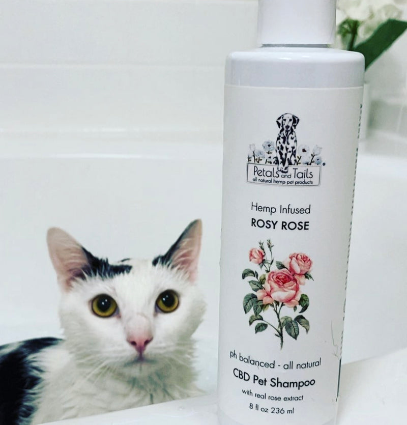 Rosy Rose CBD Pet Shampoo
