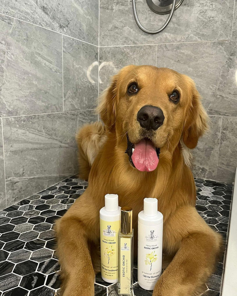 Exotic Orchid CBD Pet Shampoo