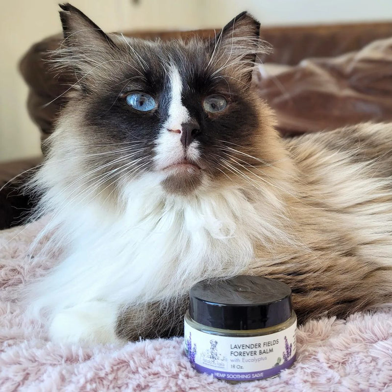 Lavender Fields Forever  Hemp Balm with Eucalyptus - 150mg