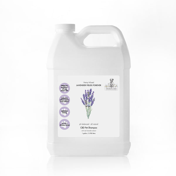 Lavender Fields Forever CBD Shampoo Gallon