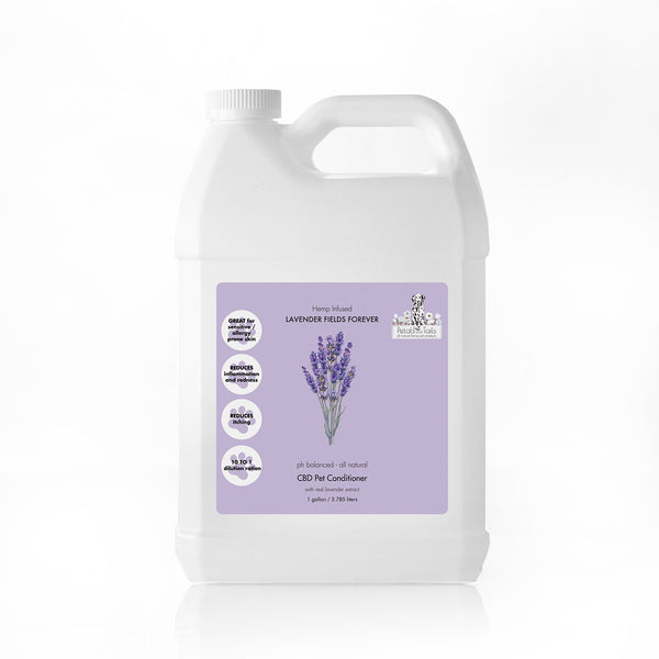 Lavender Fields Forever CBD Conditioner Gallon