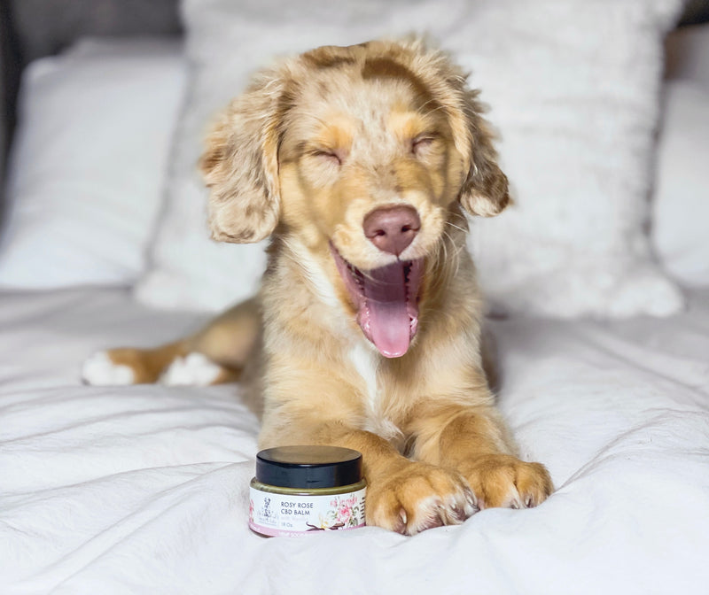 Rosy Rose CBD Balm with Vanilla - 150mg