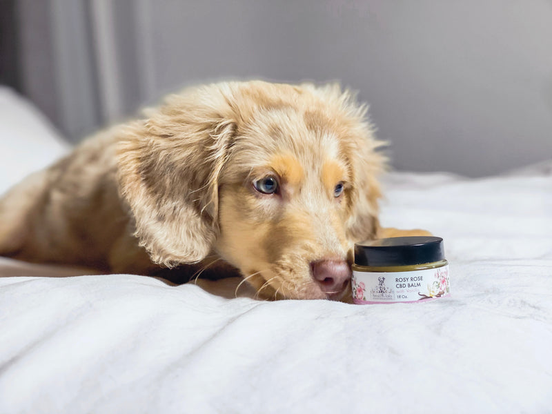 Rosy Rose CBD Balm with Vanilla - 150mg