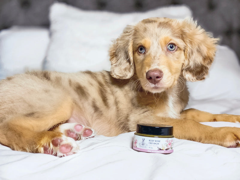 Rosy Rose CBD Balm with Vanilla - 150mg