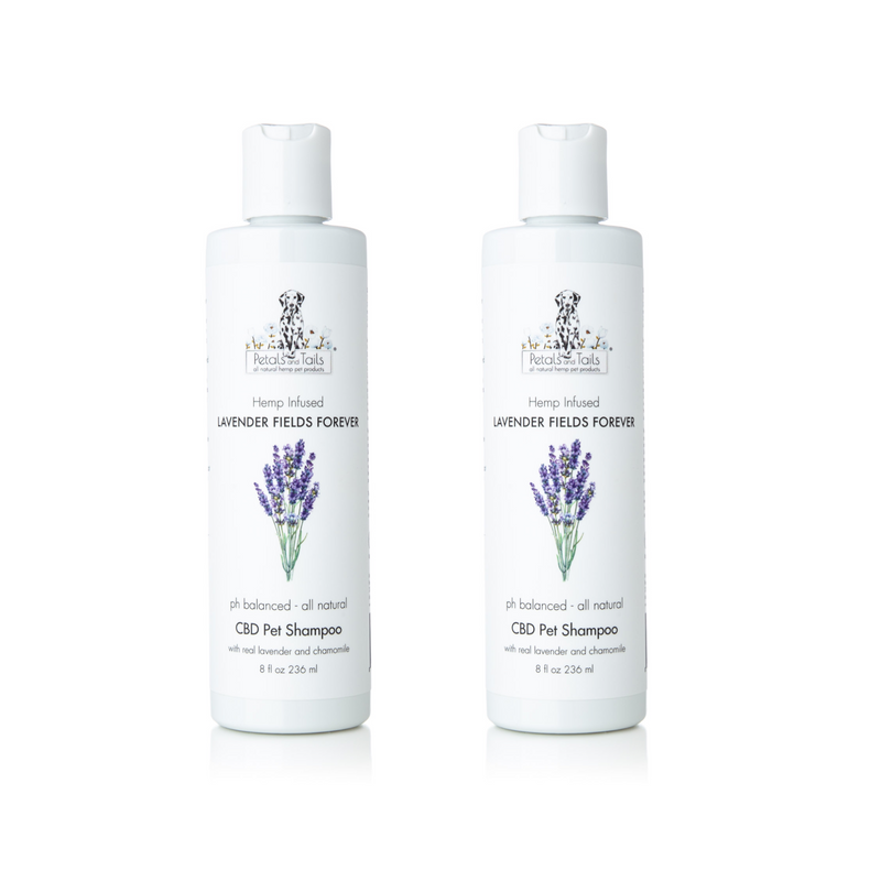 Lavender Fields Forever CBD Pet Shampoo