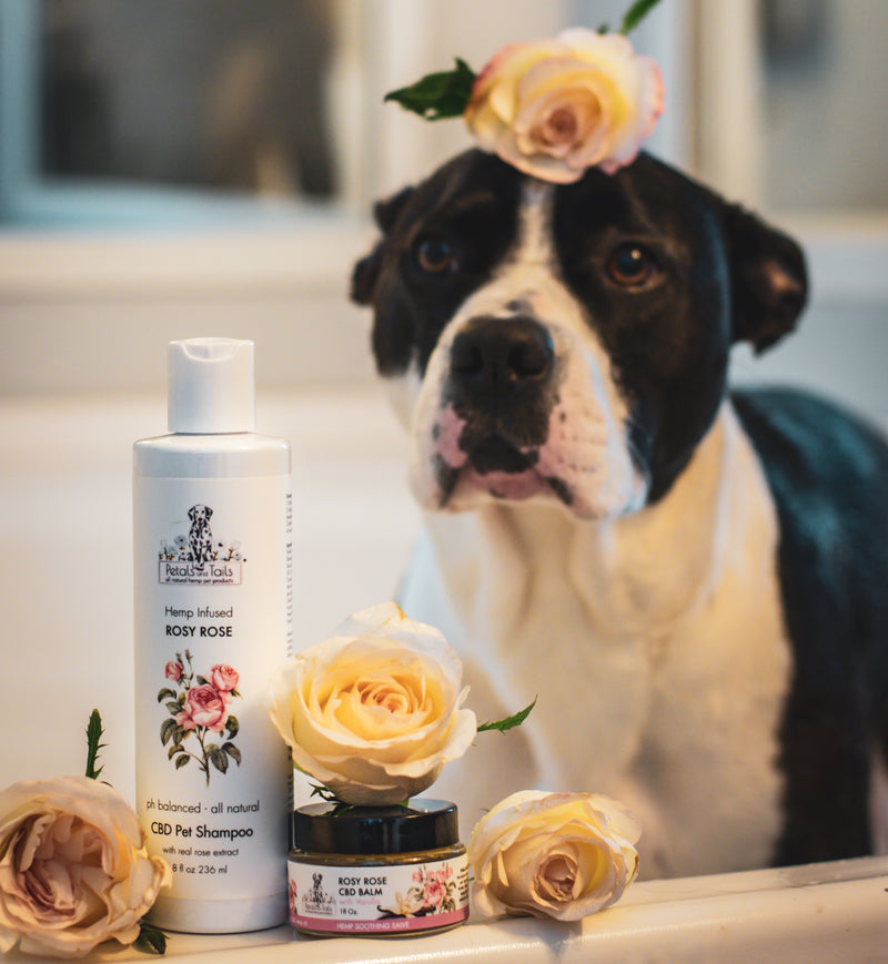 Valentines Day Bundle Rosy Rose Skin and Coat Kit PLUS a free plushie!