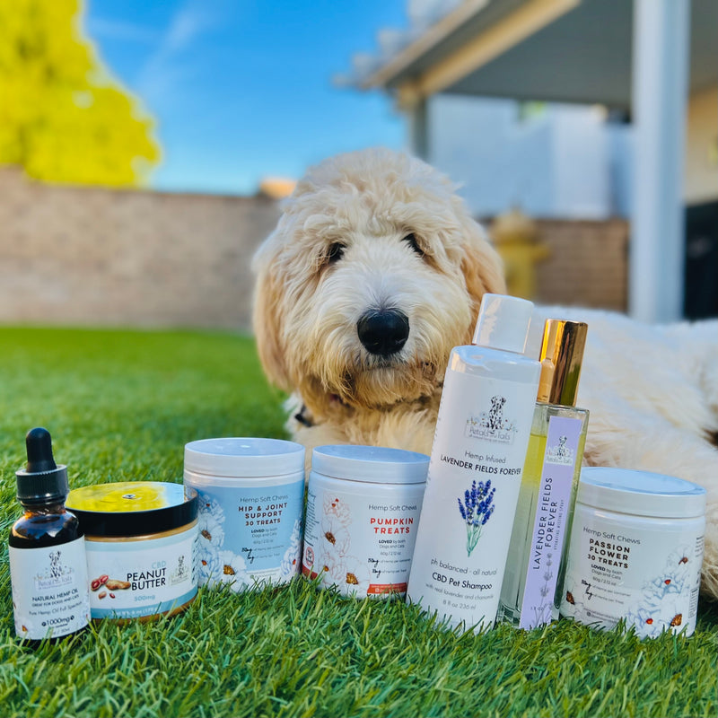 A little taste of everything PRO (save 20%)